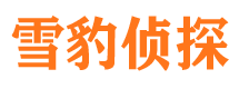 黄陵侦探公司